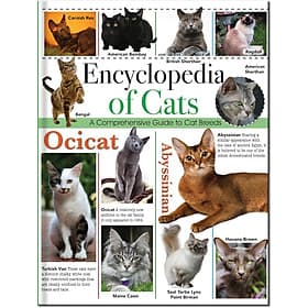 Encyclopedia of Cats (128pp Omnibus) - NORTH PARADE PUBLISHING LTD