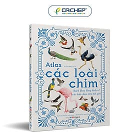 Atlas các loài chim - Á Đông