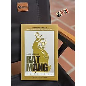 BẠT MẠNG (Reckless) - Robert K. Brigham – Phương Nam Books - Robert Plomin