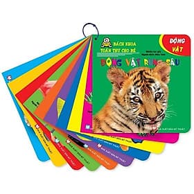 Sách Bách Khoa Toàn Thư Cho Bé - Động Vật, Loài Cá - Bách Khoa