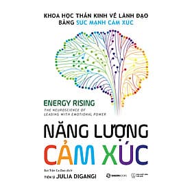Sách Năng Lượng Cảm Xúc - Khoa học thần kinh về lãnh đạo bằng sức mạnh cảm xúc