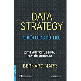 Chiến Lược Dữ Liệu - Việt Chi