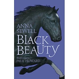 Truyện đọc thiếu niên tiếng Anh: Black Beauty