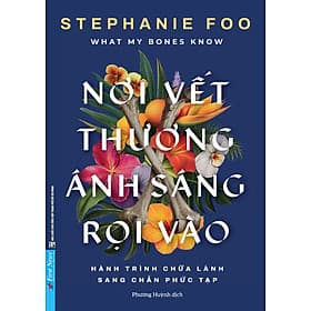 Sách Nơi Vết Thương Ánh Sáng Rọi Vào - Stephanie Foo