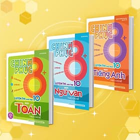 Combo Chinh phục 8+ luyện thi vào lớp 10 môn Toán - Văn - Anh (sách ôn luyện cho các bộ sách giáo khoa mới) - Văn