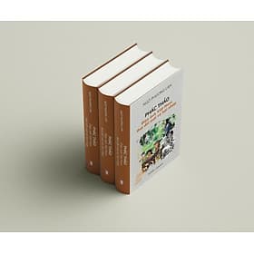 Phác thảo Điện ảnh Việt Nam thời đổi mới và hội nhập - Rien Ono
