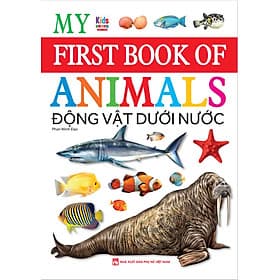 My First Book Of Animal - Động vật dưới nước - Quyển sách đầu tiên của bé về động vật. - Chủ đề động vật dưới nước - Việt Thư