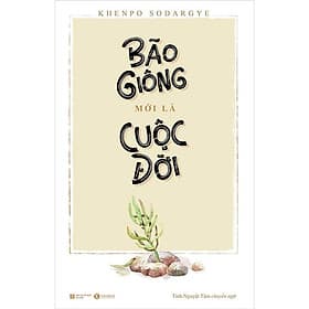Bão Giông Mới Là Cuộc Đời - Bản Quyền - Gió