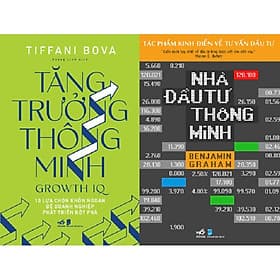 Combo Sách - Tăng Trưởng Thông Minh + Nhà Đầu Tư Thông Minh - Minh Thông