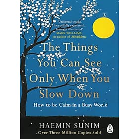 Sách tâm lý tiếng Anh: The Things You Can See Only When You Slow Down : How To Be Calm In A Busy World - Tâm Anh