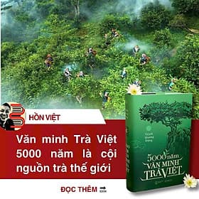 (Bìa cứng) 5000 NĂM VĂN MINH TRÀ VIỆT – Trịnh Quang Dũng - Mochibooks - Minh