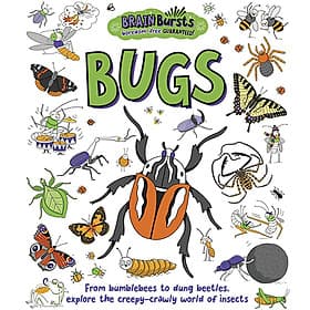 Brain Bursts: Bugs - Little Tiger Press Group