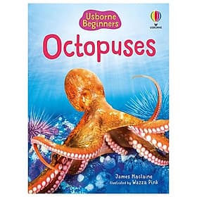 Sách ngoại văn: Beginners Octopuses - Usborn