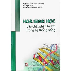 Hóa sinh học các chất phân tử lớn trong hệ thống sống - Công Sĩ