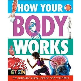How Your Body Works - Nam Phương