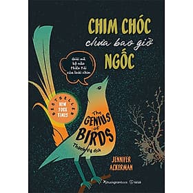 Chim Chóc Chưa Bao Giờ Ngốc - Giải Mã Bộ Não Thiên Tài Của Loài Chim - Phương Phương