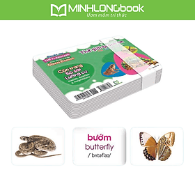 Sách Thẻ Flashcard Theo Phương Pháp Glenn Doman - Thế Giới Quanh Em: Côn Trùng - Bò Sát - Lưỡng Cư - Trung Phương