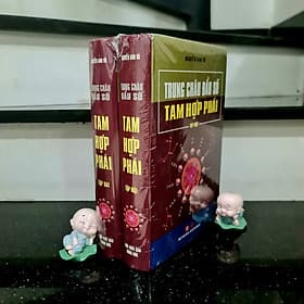 TRUNG CHÂU TỬ VI ĐẨU SỐ - TAM HỢP PHÁI - Chà