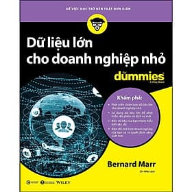 Dữ Liệu Lớn Cho Doanh Nghiệp Nhỏ For Dummies - Thái Hà Books