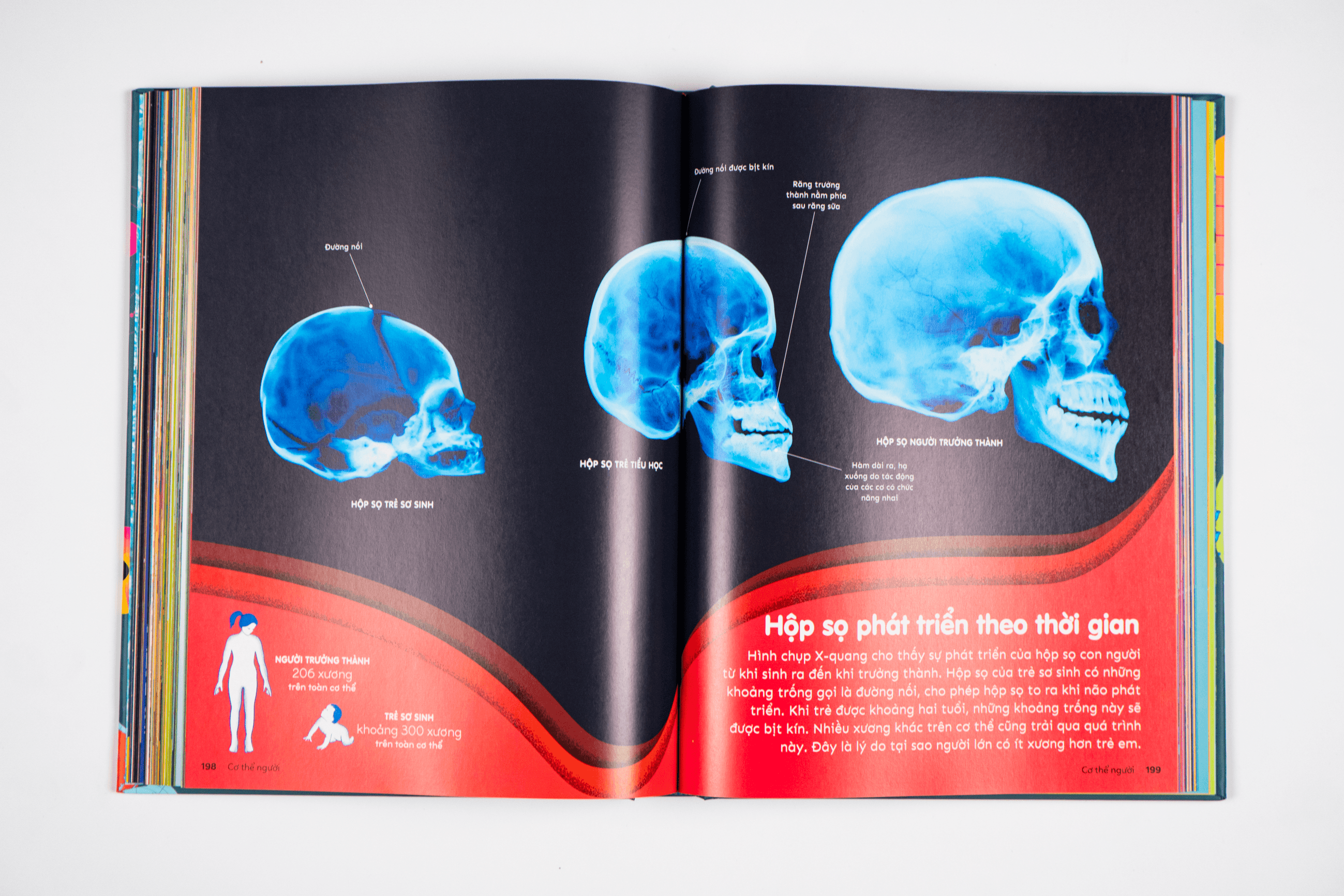 Sách Britannica's Encyclopedia Infographica - Bách khoa thư bằng đồ họa - ảnh 3