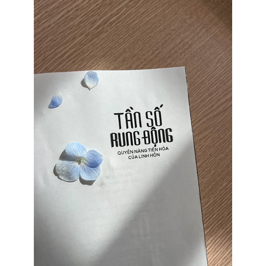 Sách Tần Số Rung Động – Quyền Năng Tiến Hóa Của Linh Hồn - ảnh 9