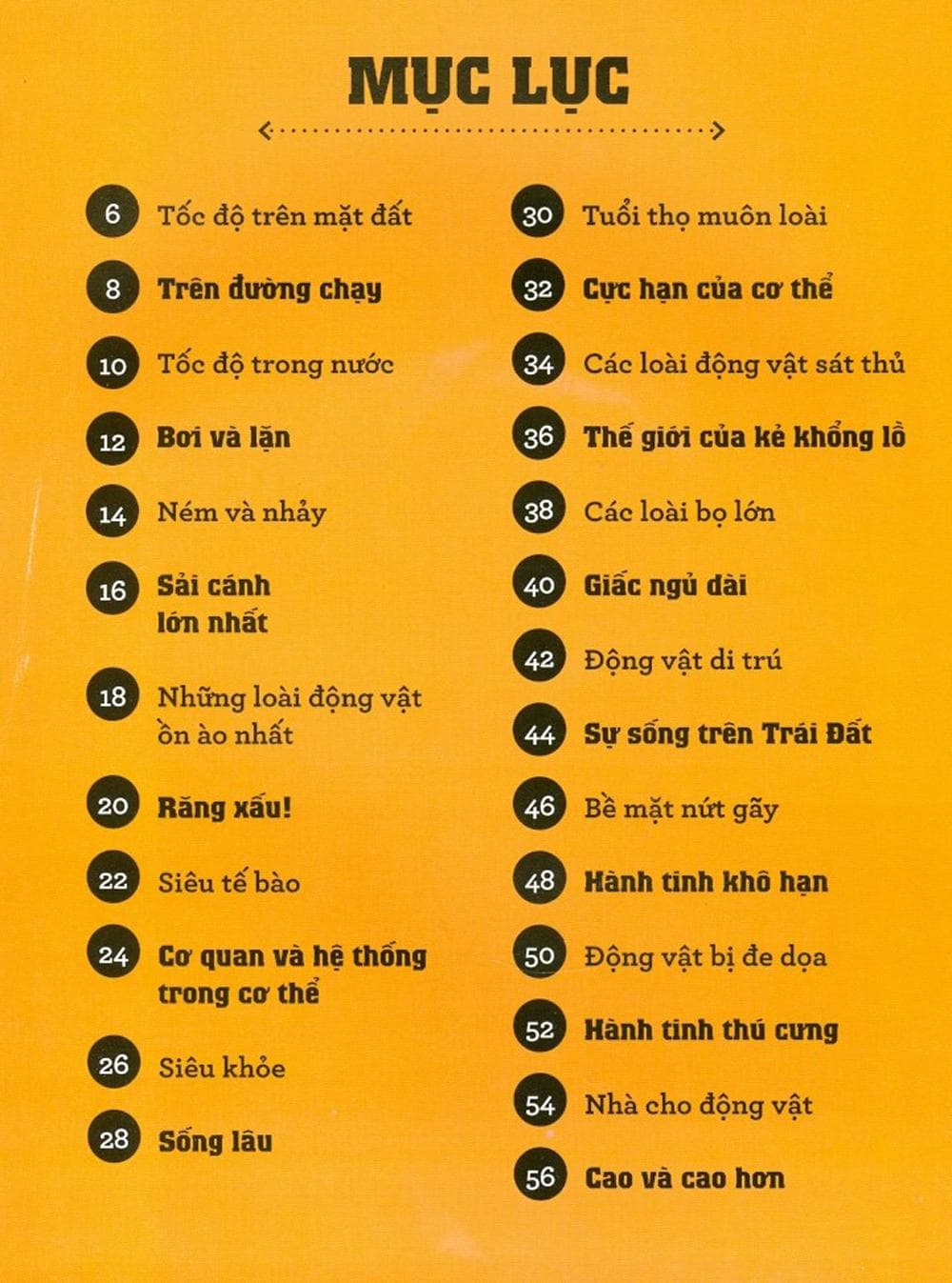 Sách Infomania - Các Kỷ Lục, Top 10 Và Những Thông Tin Kỳ Thú Khác - ảnh 4