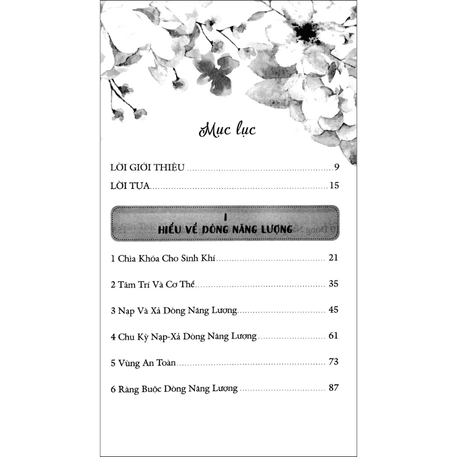 Sách Dòng Năng Lượng Sinh Khí - ảnh 3