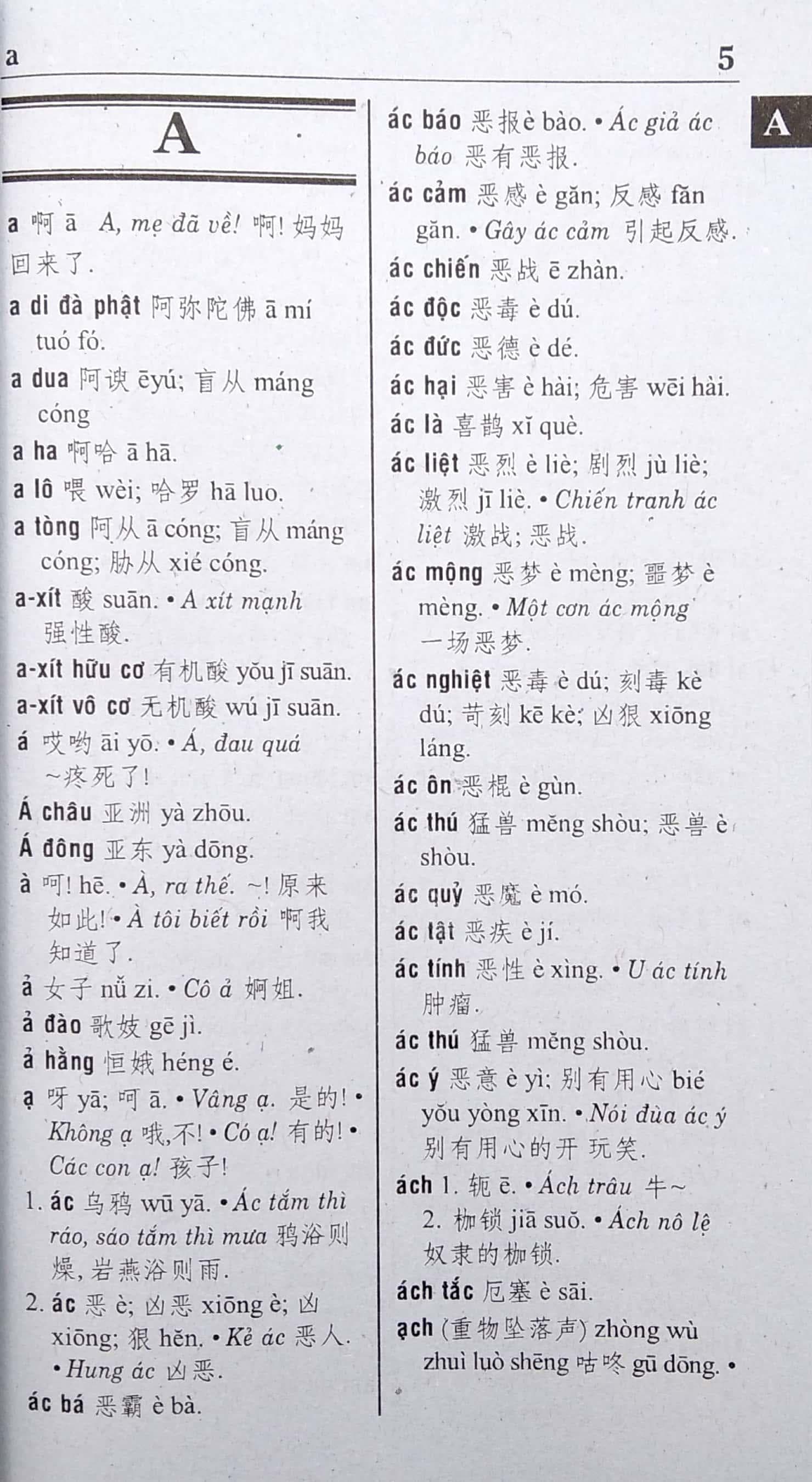 Từ Điển Việt - Hoa - ảnh 6