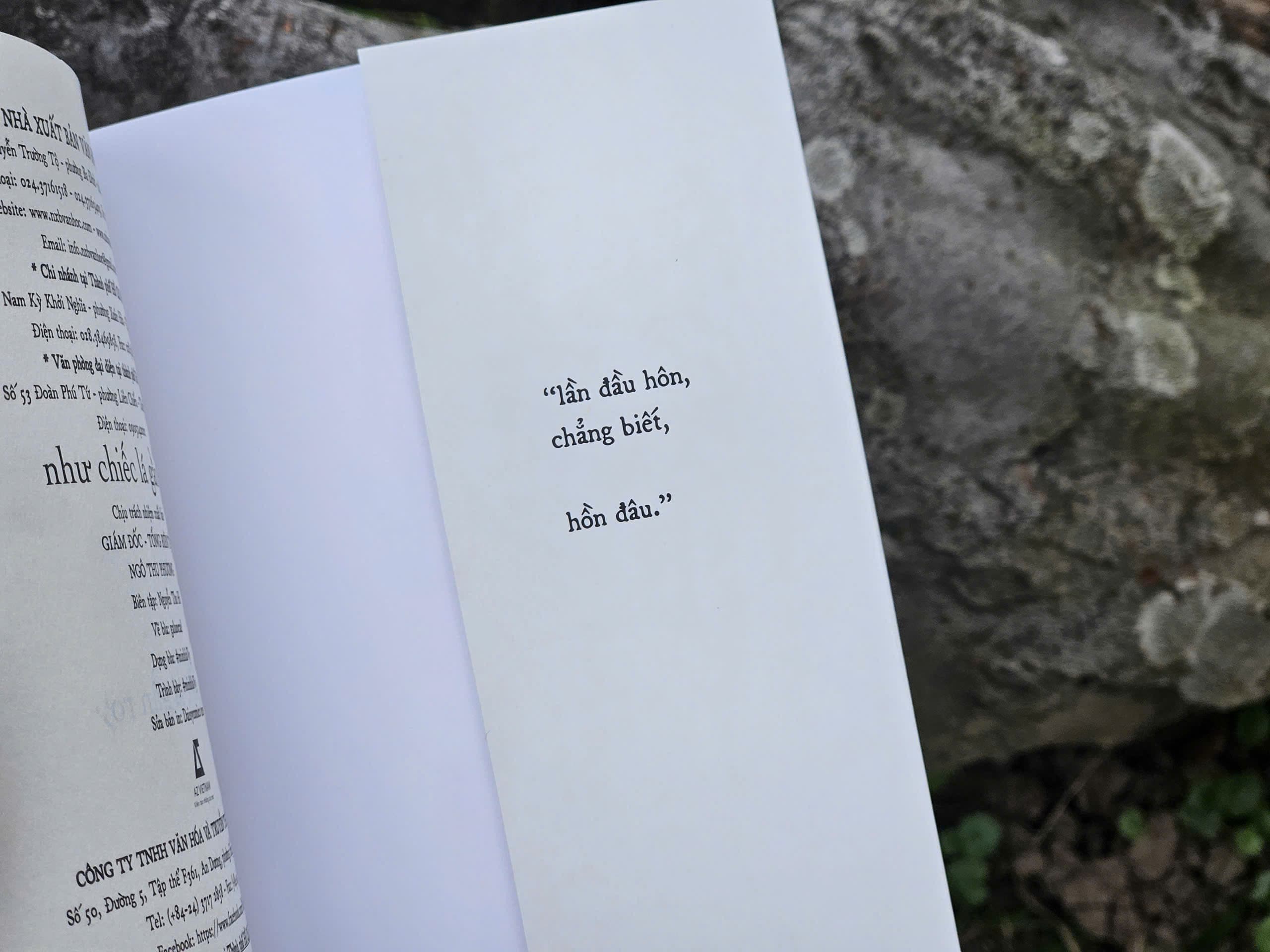 Sách Như Chiếc Lá Gần Rơi - ảnh 3