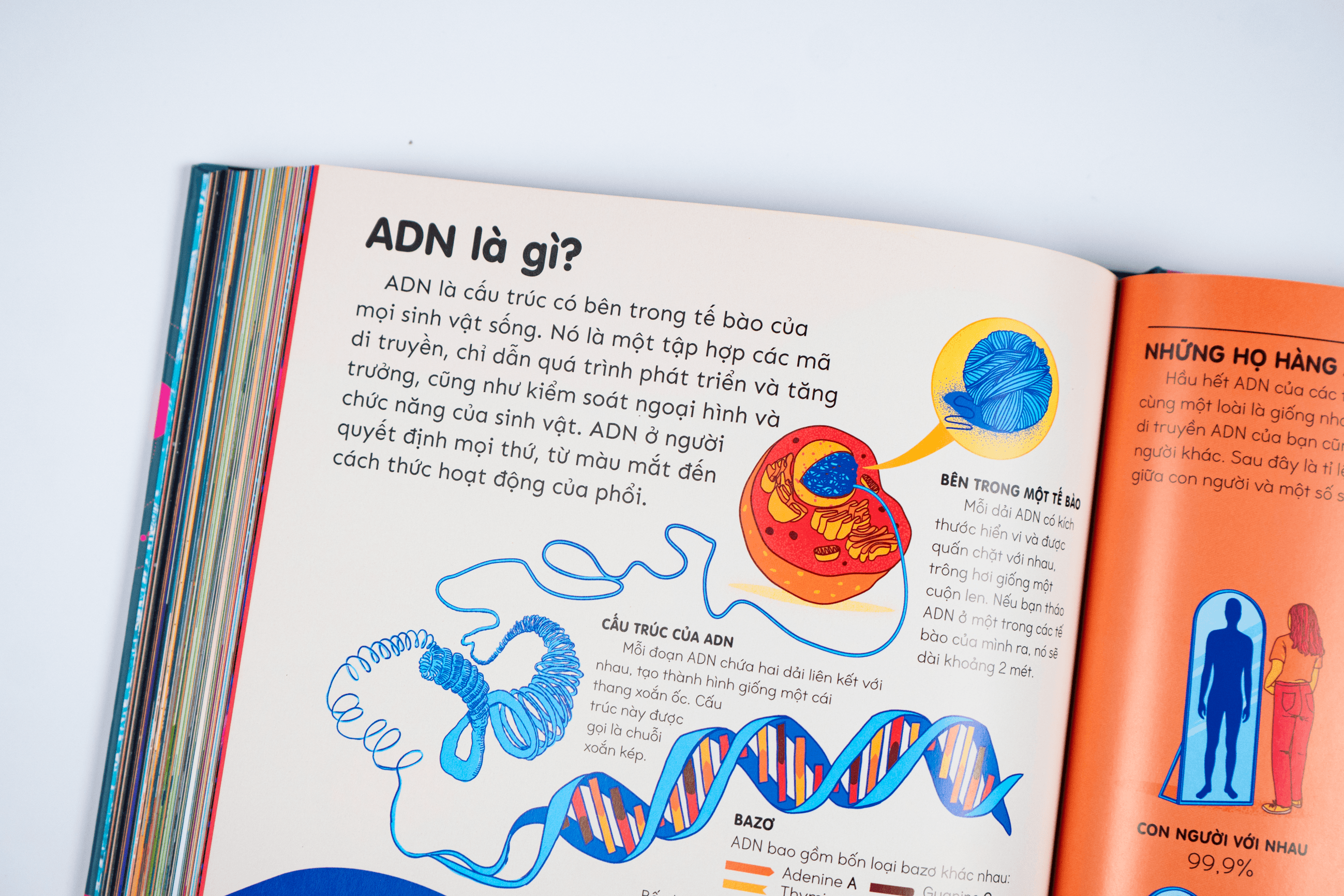 Sách Britannica's Encyclopedia Infographica - Bách khoa thư bằng đồ họa - ảnh 7