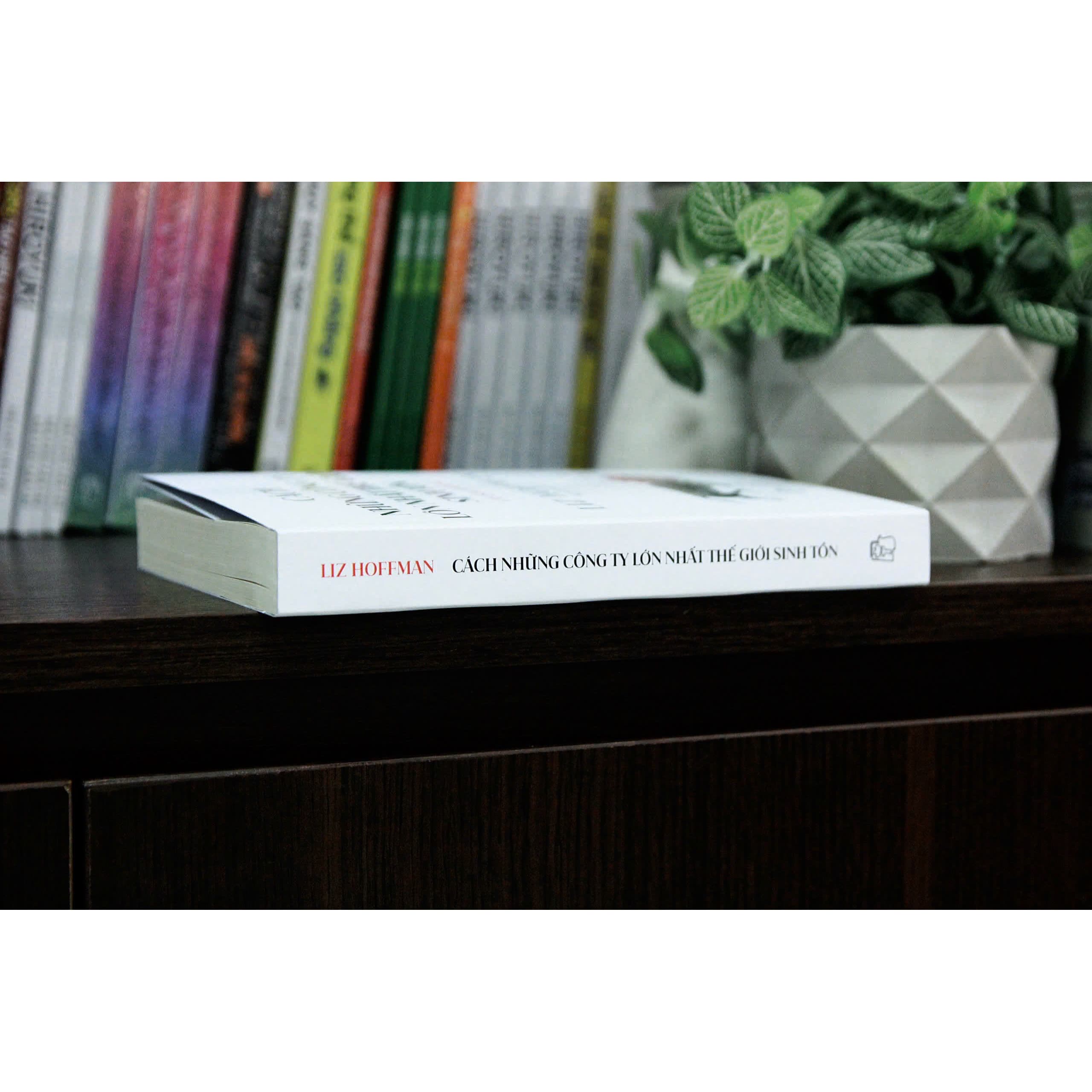 Sách Cách những công ty lớn nhất thế giới sinh tồn - ảnh 6
