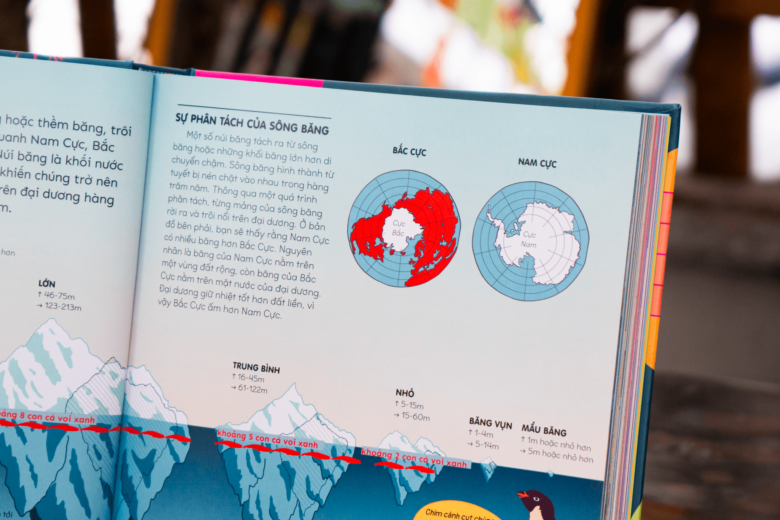 Sách Britannica's Encyclopedia Infographica - Bách khoa thư bằng đồ họa - ảnh 19