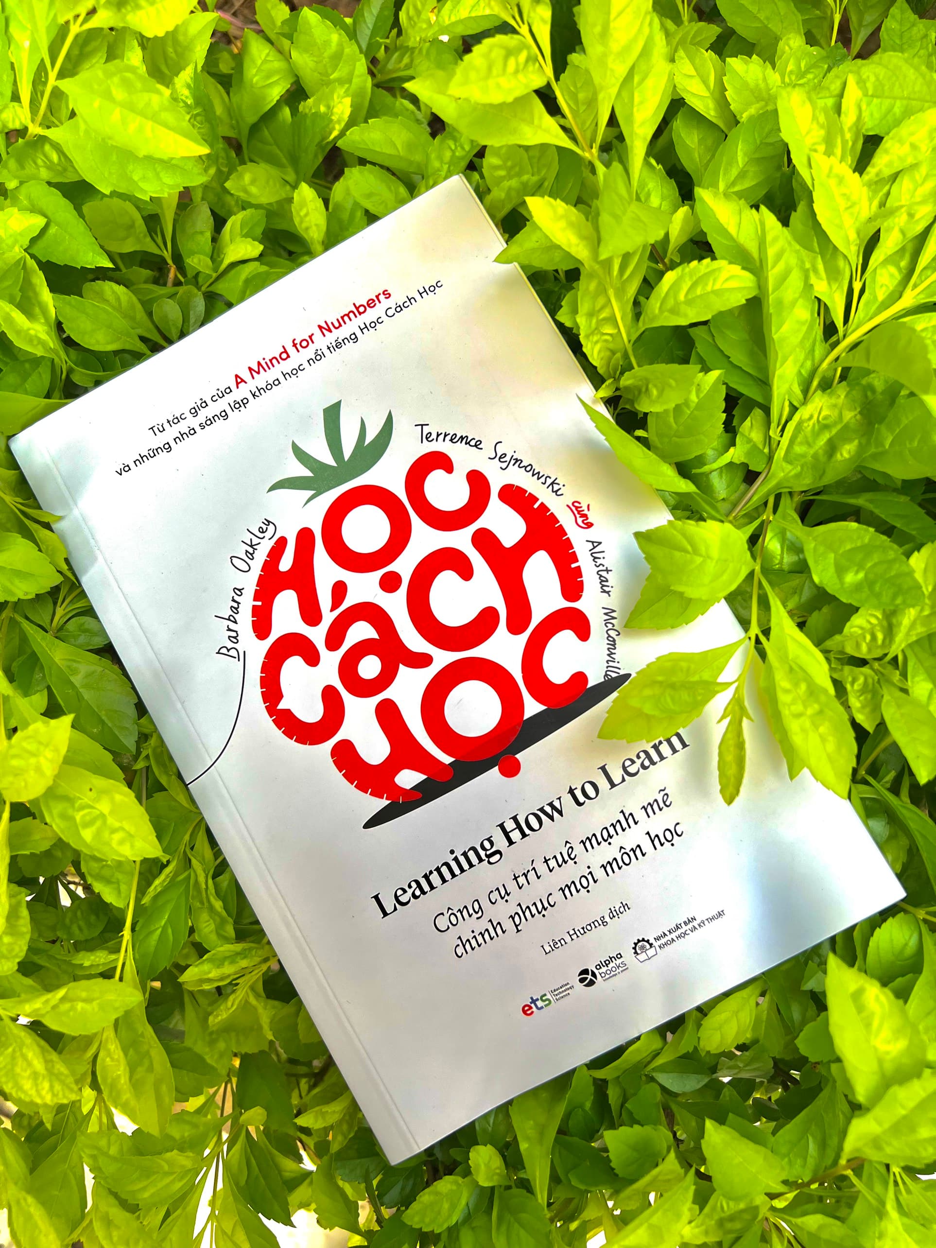 Sách Học Cách Học - ảnh 8