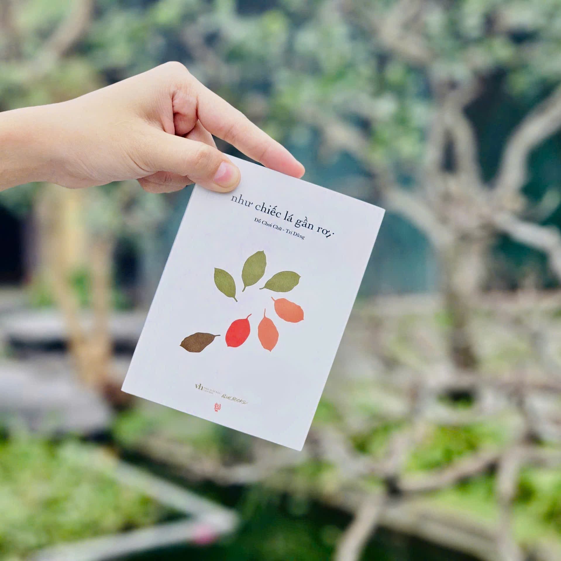 Sách Như Chiếc Lá Gần Rơi - ảnh 5