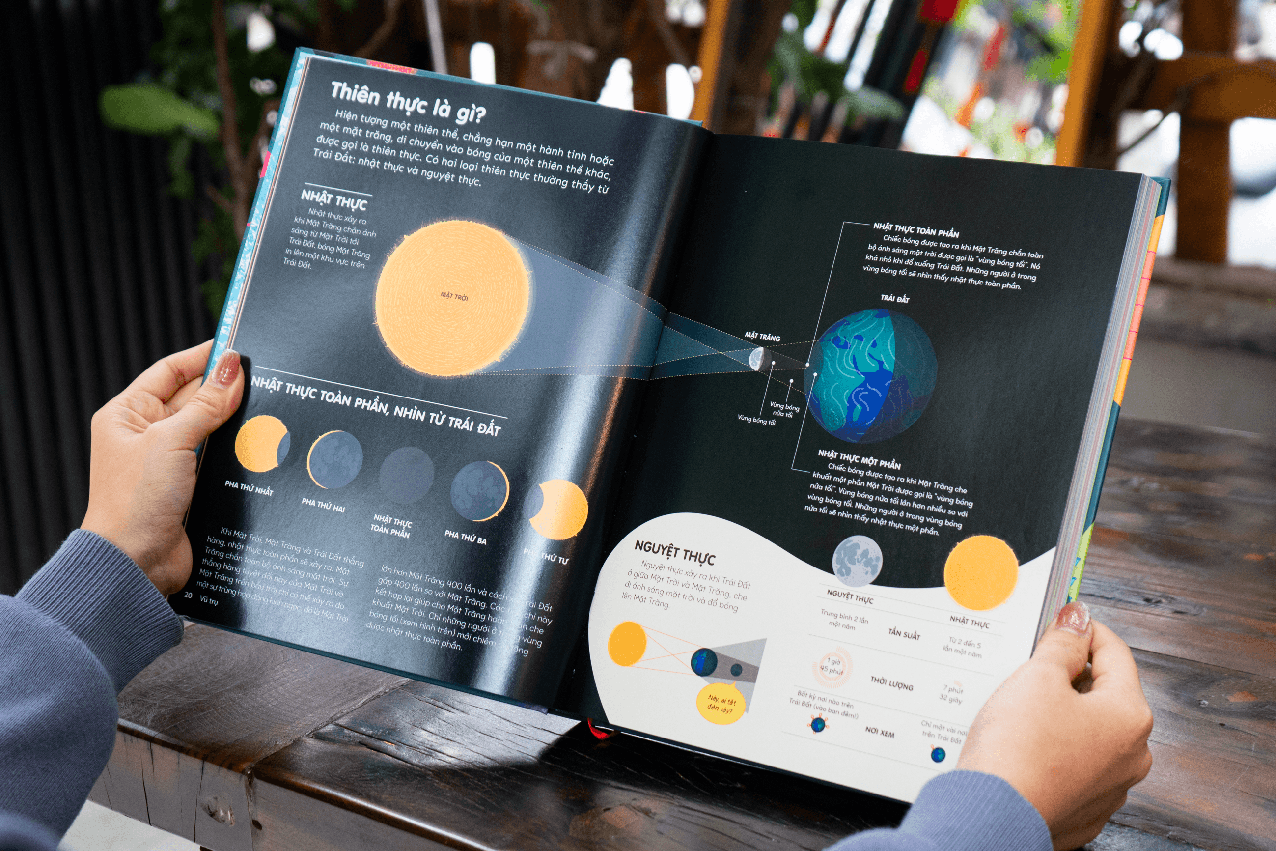 Sách Britannica's Encyclopedia Infographica - Bách khoa thư bằng đồ họa - ảnh 16