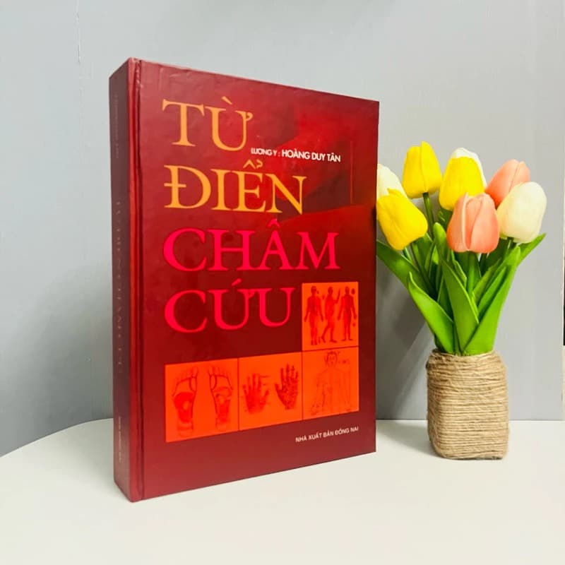 Từ Điển Châm Cứu - ảnh 3
