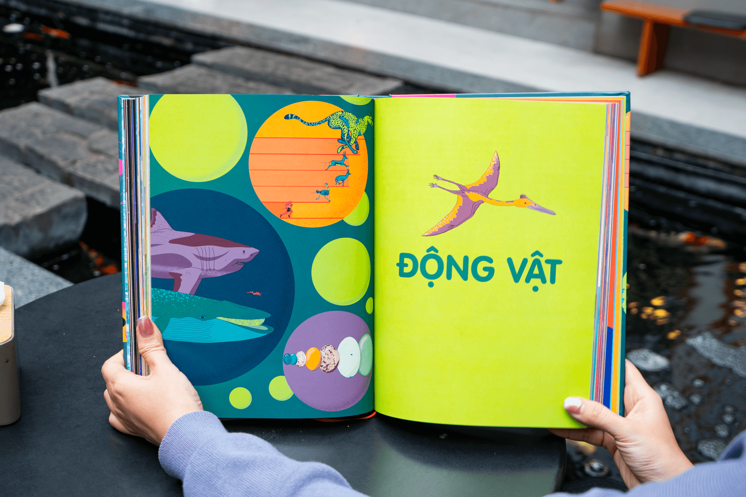 Sách Britannica's Encyclopedia Infographica - Bách khoa thư bằng đồ họa - ảnh 14