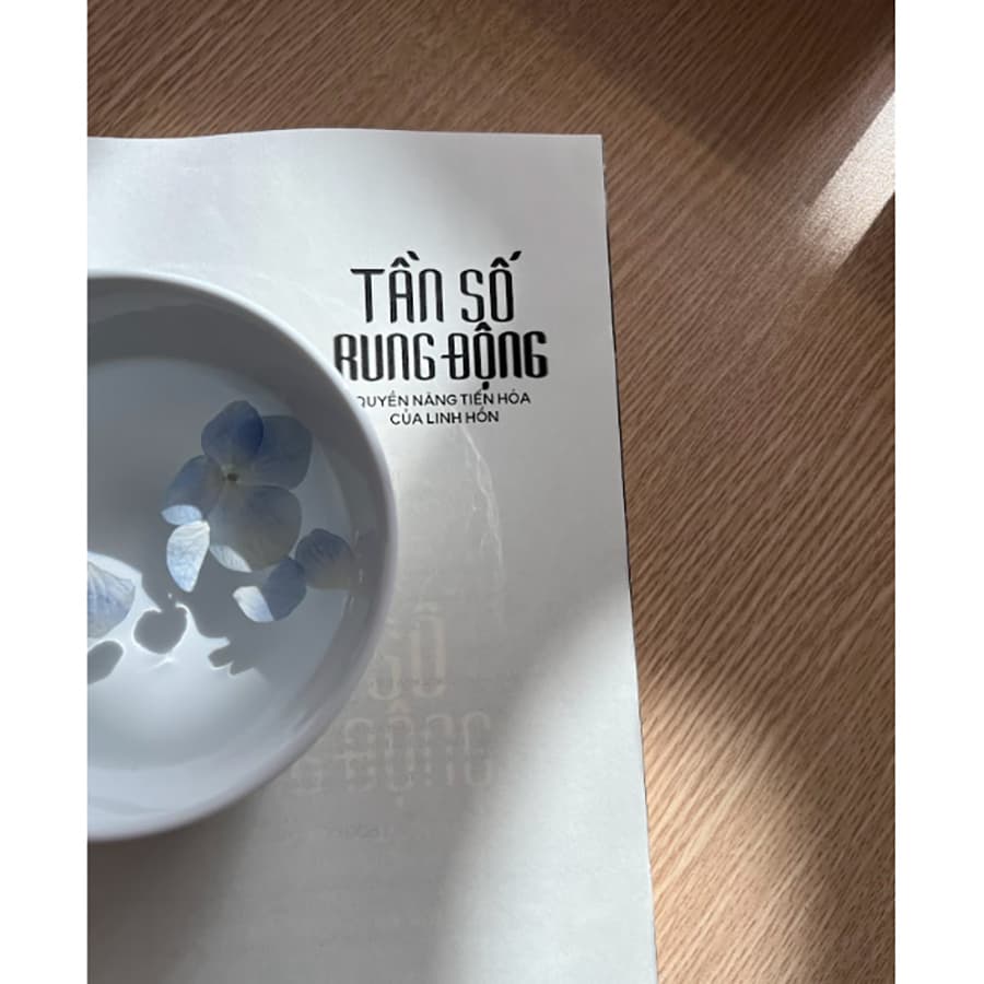 Sách Tần Số Rung Động – Quyền Năng Tiến Hóa Của Linh Hồn - ảnh 7