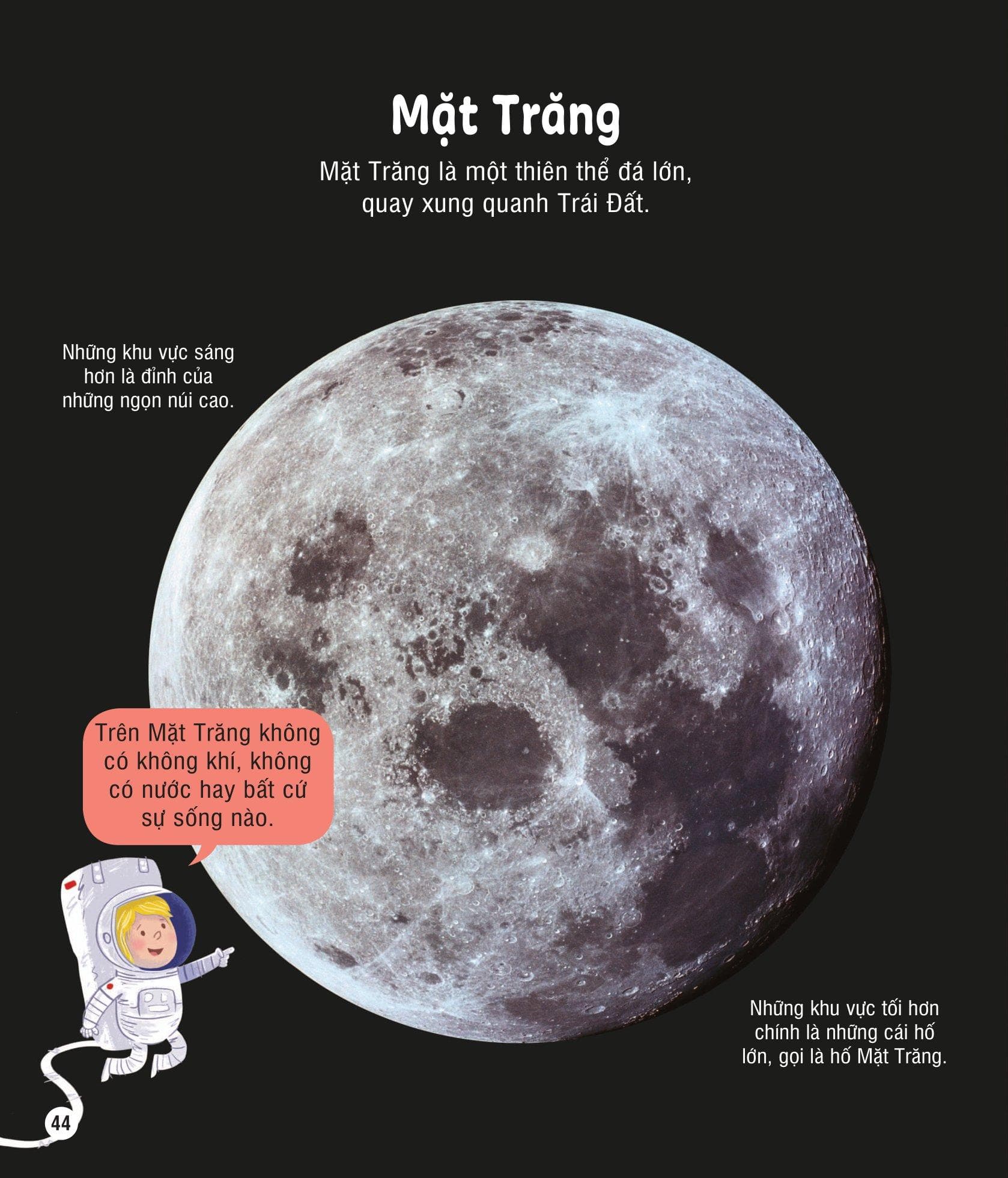 Tủ Sách Bách Khoa Tri Thức - Bách Khoa Tri Thức Cho Trẻ Em - ảnh 4