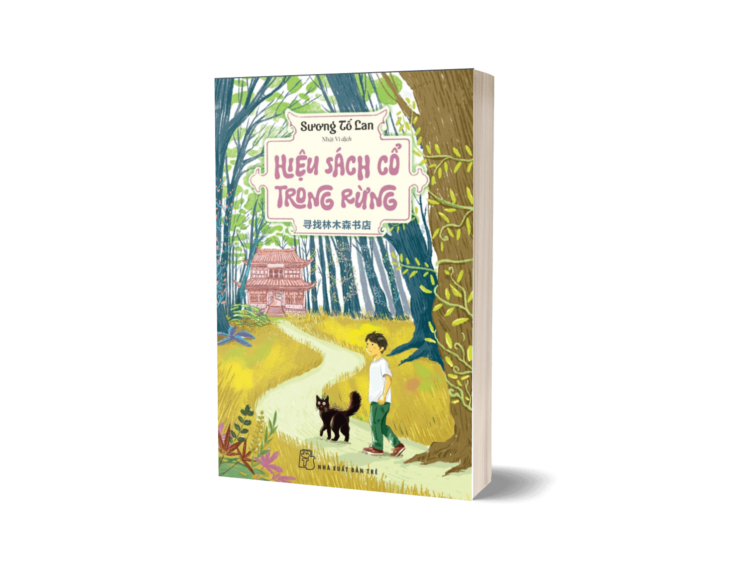 Hiệu Sách Cổ Trong Rừng - ảnh 3