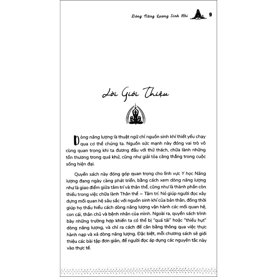 Sách Dòng Năng Lượng Sinh Khí - ảnh 4