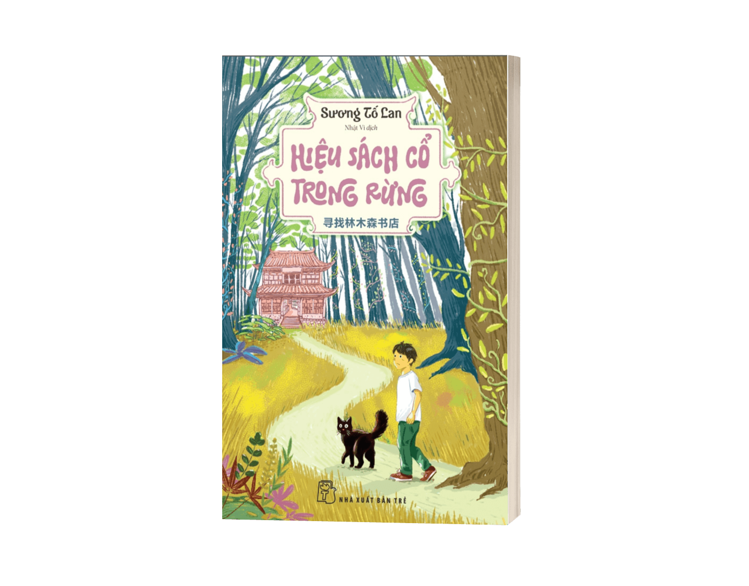 Hiệu Sách Cổ Trong Rừng - ảnh 4