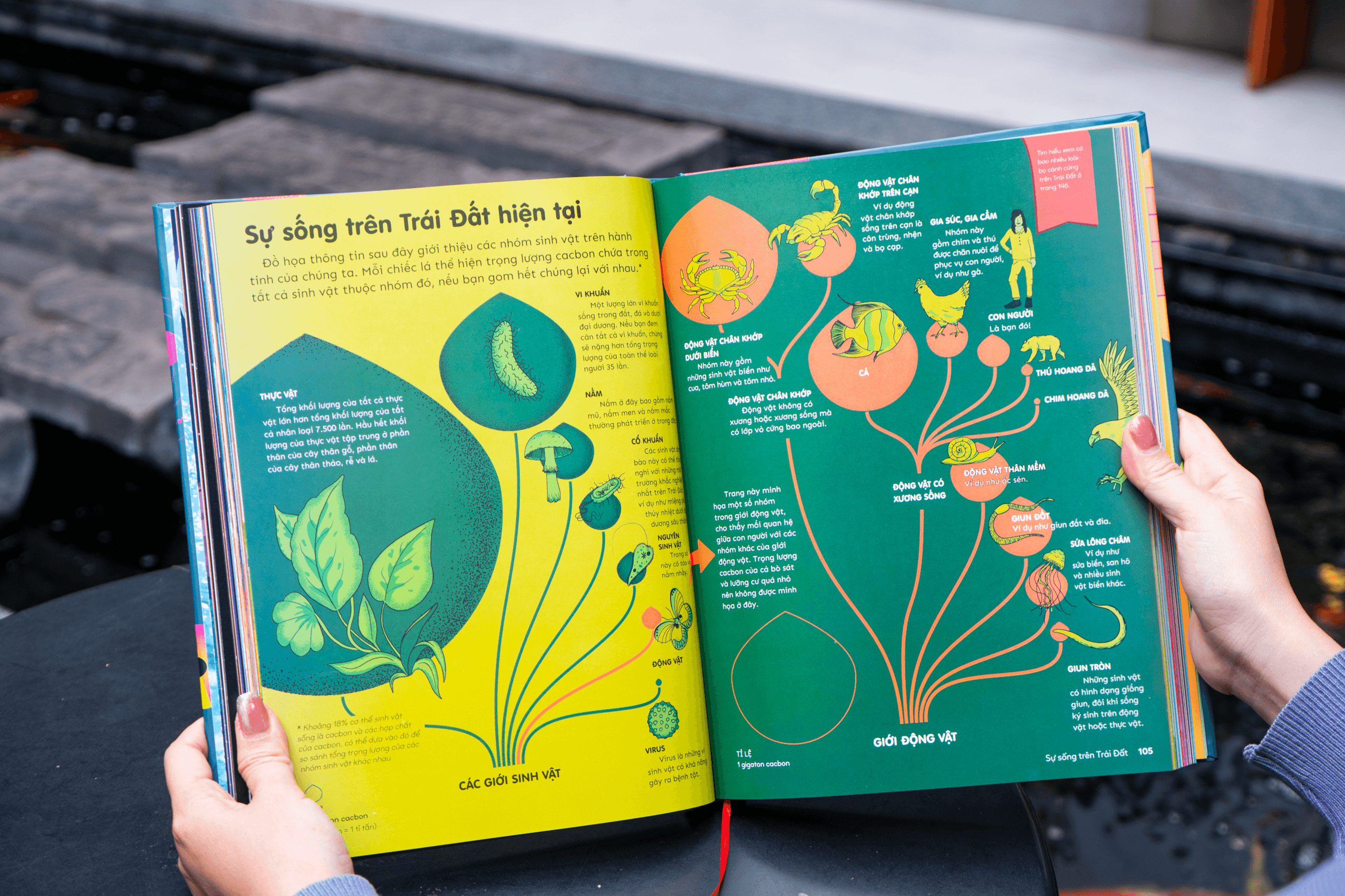 Sách Britannica's Encyclopedia Infographica - Bách khoa thư bằng đồ họa - ảnh 12