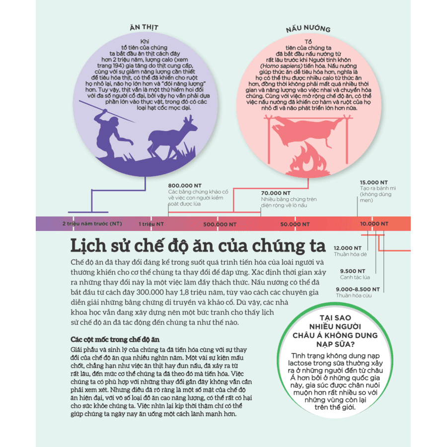 Sách How Food Works - Hiểu Hết Về Thức Ăn - ảnh 6