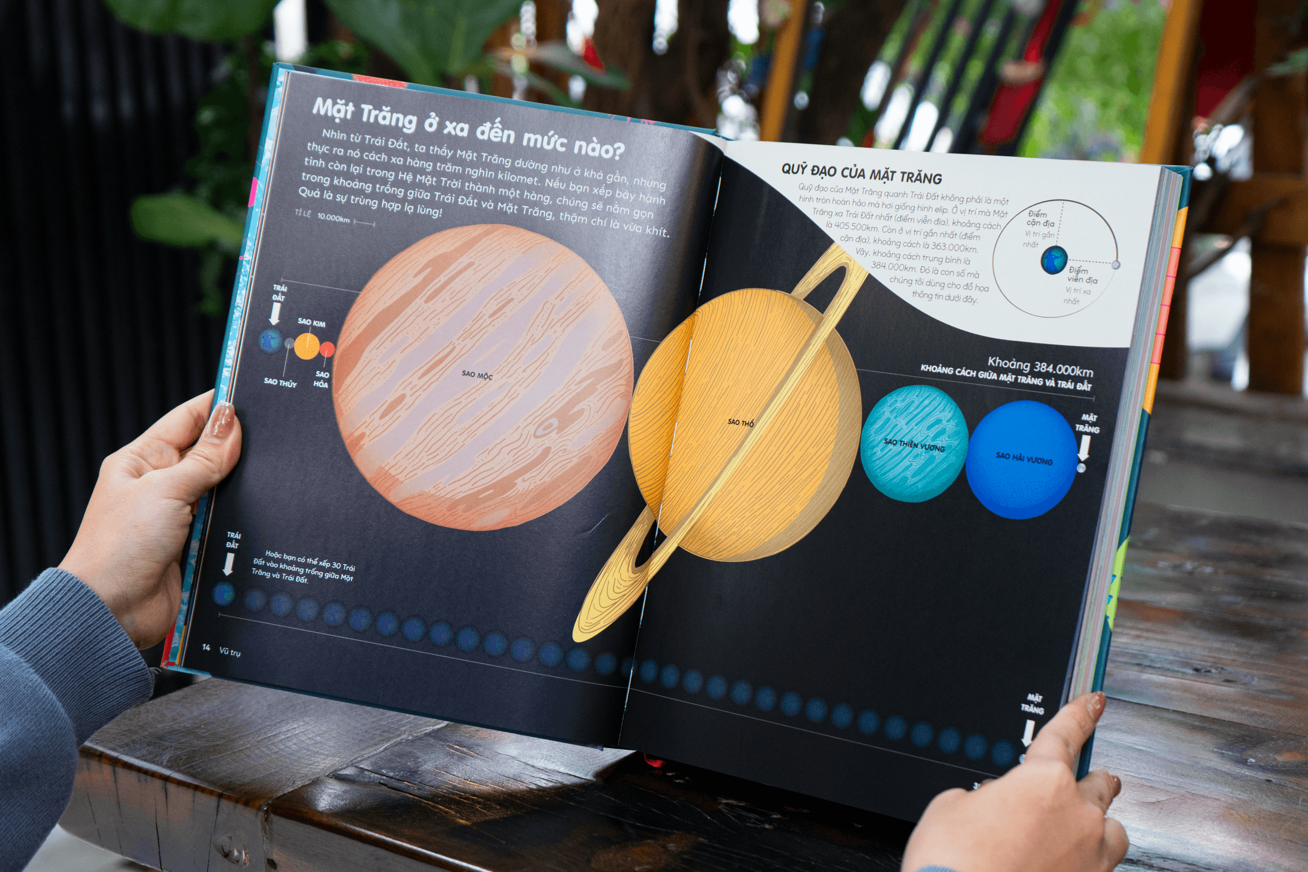 Sách Britannica's Encyclopedia Infographica - Bách khoa thư bằng đồ họa - ảnh 15