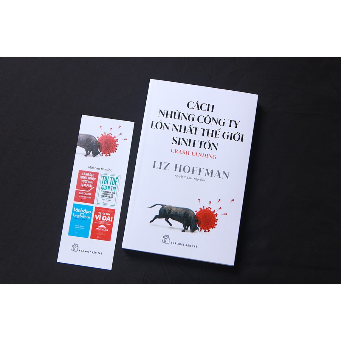 Sách Cách những công ty lớn nhất thế giới sinh tồn - ảnh 12
