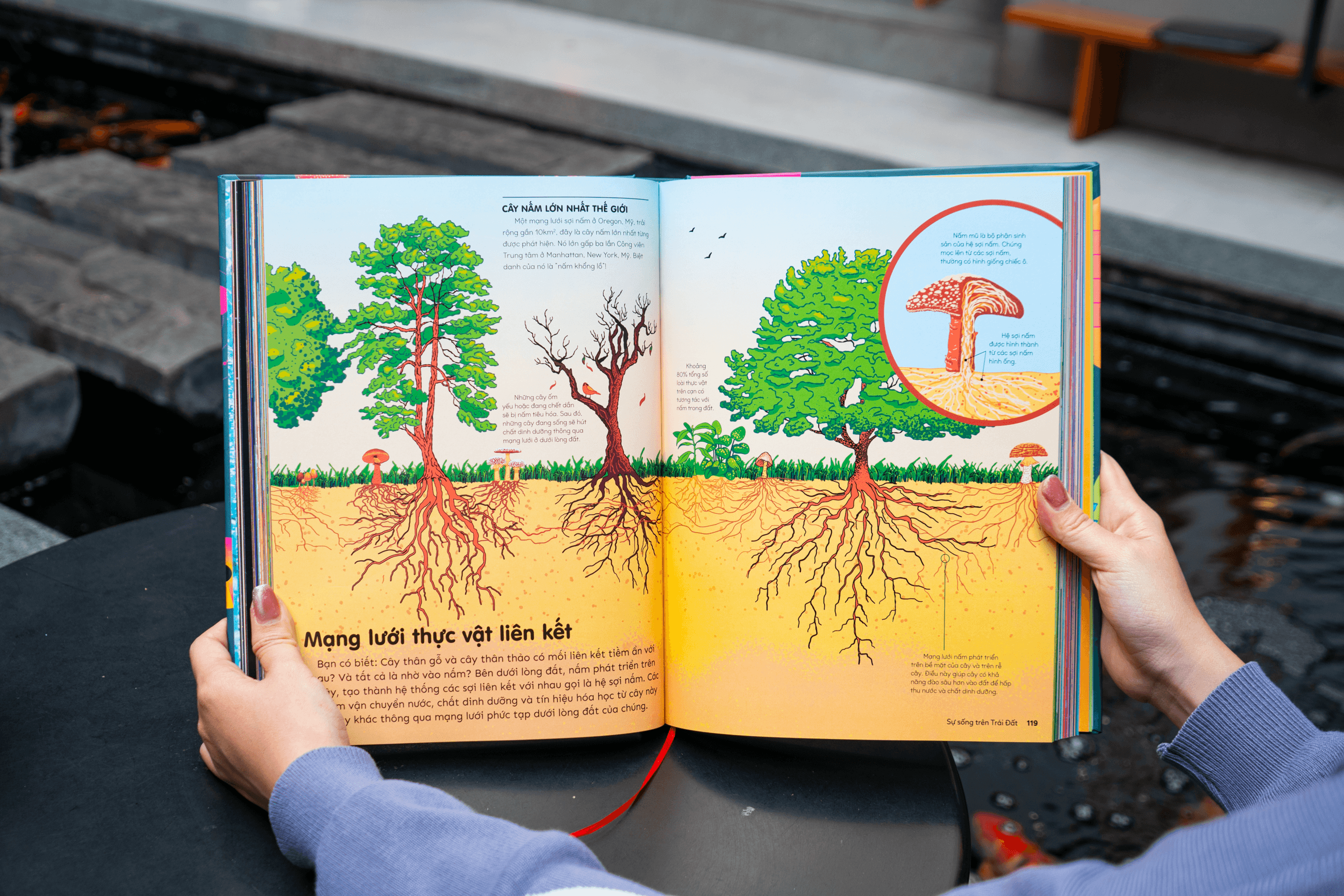 Sách Britannica's Encyclopedia Infographica - Bách khoa thư bằng đồ họa - ảnh 13