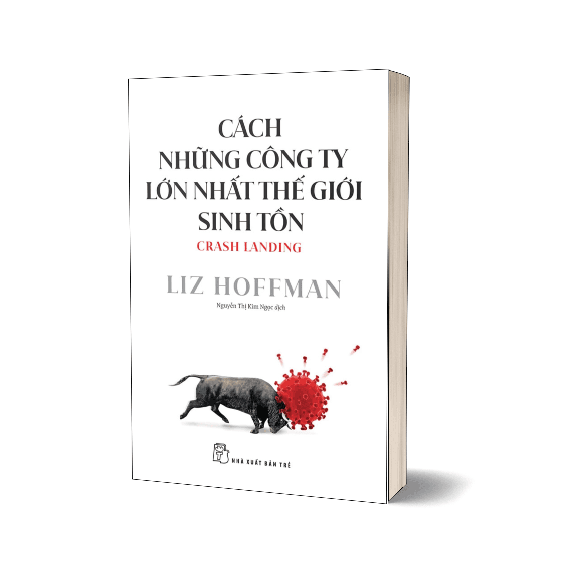Sách Cách những công ty lớn nhất thế giới sinh tồn - ảnh 3