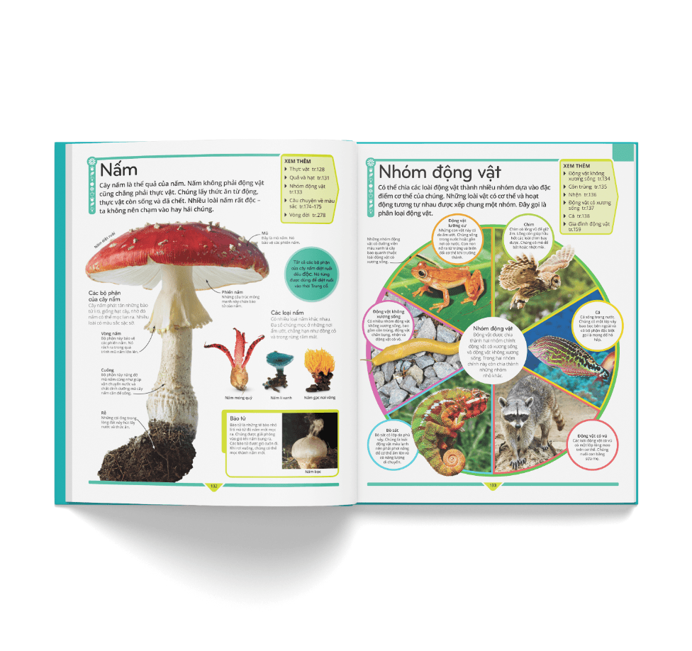 Bách Khoa Thư Trẻ Em - Cuốn Sách Lí Giải Vạn Vật - ảnh 12