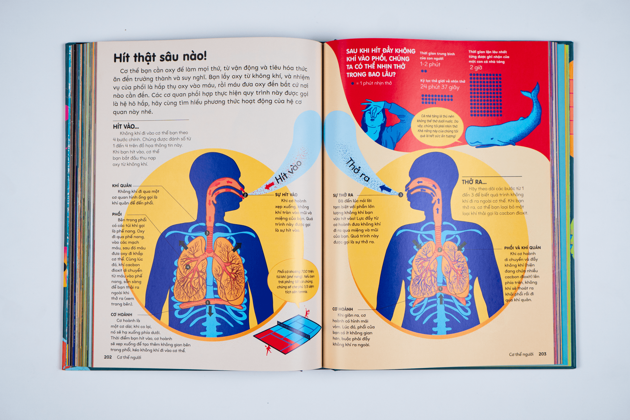 Sách Britannica's Encyclopedia Infographica - Bách khoa thư bằng đồ họa - ảnh 5